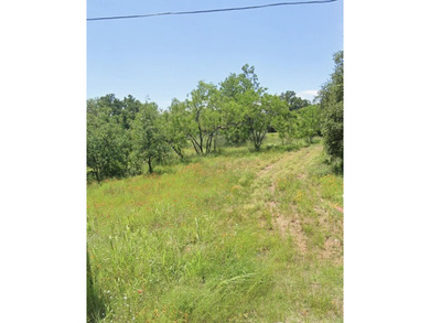 Lake LBJ Lot For Sale in Kingsland Texas