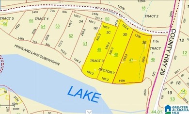 Looking for lakefront property? Here you go! 300' of lakefront - photo 32