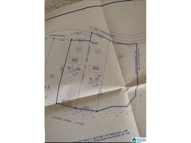 Looking for lakefront property? Here you go! 300' of lakefront - photo 33