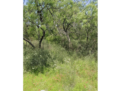 Lake LBJ Lot For Sale in Kingsland Texas