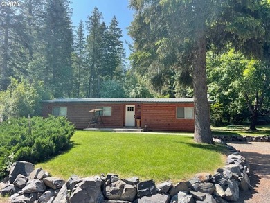 Wallowa Lake Home For Sale in Wallowalake Oregon