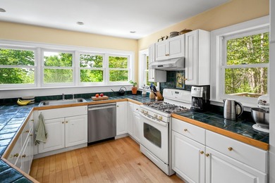Charming contemporary cape on 2.7 south-facing acres in private - photo 22