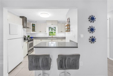 Coastal Living Meets Everyday Convenience in beautiful Belleair! - photo 12