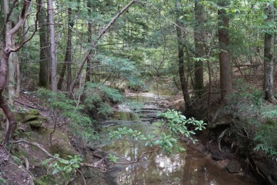 Lake Acreage For Sale in Haleyville, Alabama