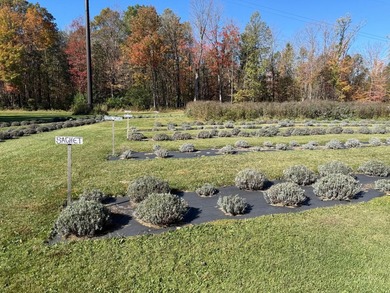 Welcome to Tranquil Acres, a truly one-of-a-kind Northwoods - photo 11