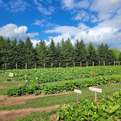 Welcome to Tranquil Acres, a truly one-of-a-kind Northwoods - photo 13