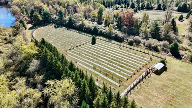 Welcome to Tranquil Acres, a truly one-of-a-kind Northwoods - photo 14