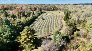 Welcome to Tranquil Acres, a truly one-of-a-kind Northwoods - photo 15