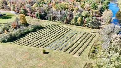 Welcome to Tranquil Acres, a truly one-of-a-kind Northwoods - photo 16