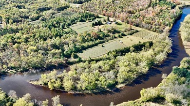 Welcome to Tranquil Acres, a truly one-of-a-kind Northwoods - photo 36