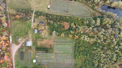 Welcome to Tranquil Acres, a truly one-of-a-kind Northwoods - photo 41