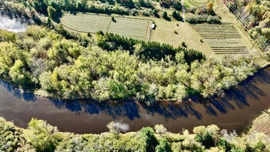 Welcome to Tranquil Acres, a truly one-of-a-kind Northwoods - photo 45