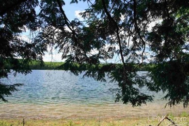 Smokey Lake Acreage For Sale in Stambaugh Michigan