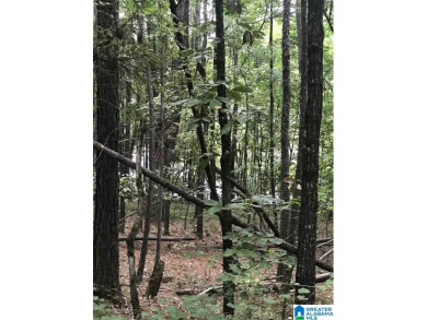 Logan Martin Lake Lot For Sale in Alpine Alabama