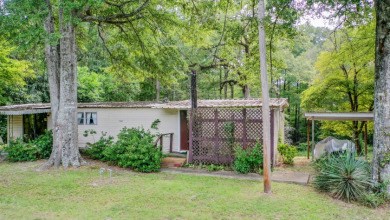 Big Cypress River - Main House w/Extra Income Properties - photo 7