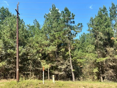 Broken Bow Lake Lot For Sale in Broken Bow Oklahoma
