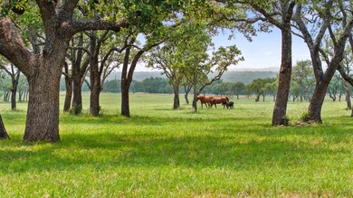 Welcome to 134 unrestricted acres of manicured perfection in the - photo 3