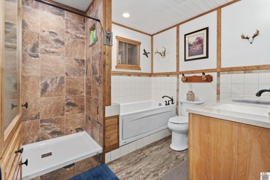 Enjoy year-round views of Lake Barkley from both the front and - photo 24