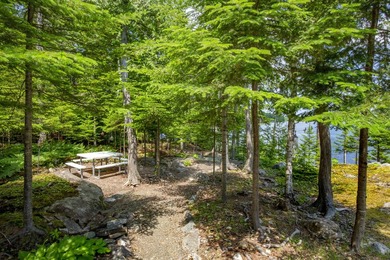 Discover the peaceful beauty of Meduxnekeag Lake (Drews Lake) - photo 27