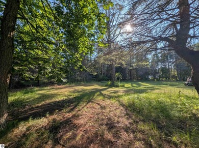 100' of frontage along the beautiful sandy shores of Lake Huron! - photo 11