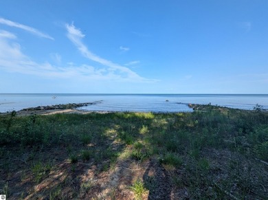 100' of frontage along the beautiful sandy shores of Lake Huron! - photo 12