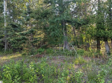 100' of frontage along the beautiful sandy shores of Lake Huron! - photo 13