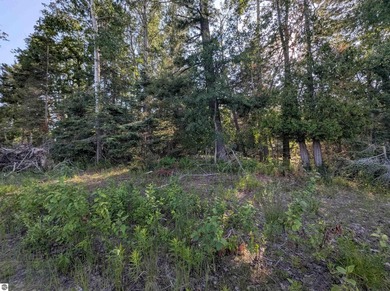 100' of frontage along the beautiful sandy shores of Lake Huron! - photo 14