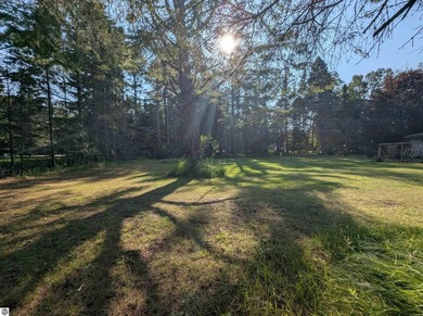100' of frontage along the beautiful sandy shores of Lake Huron! - photo 15