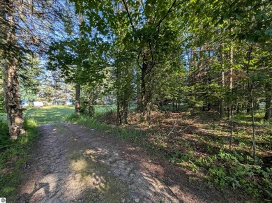 100' of frontage along the beautiful sandy shores of Lake Huron! - photo 16