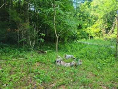 Lake Lot Sale Pending in Mountain City, Tennessee