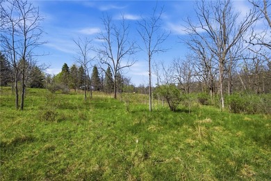 Did you ever want to have a house, cabin or camp creek side so - photo 11