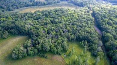 Lake Acreage For Sale in Farm Island Twp, Minnesota