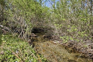 Did you ever want to have a house, cabin or camp creek side so - photo 13