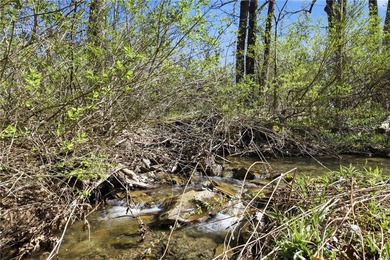Did you ever want to have a house, cabin or camp creek side so - photo 14