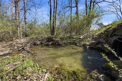 Did you ever want to have a house, cabin or camp creek side so - photo 15