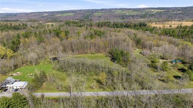 Did you ever want to have a house, cabin or camp creek side so - photo 18