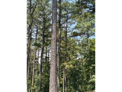 Lake Lot For Sale in Broken Bow, Oklahoma