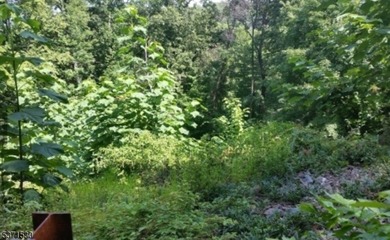 (private lake, pond, creek) Lot For Sale in Montville Twp. New Jersey