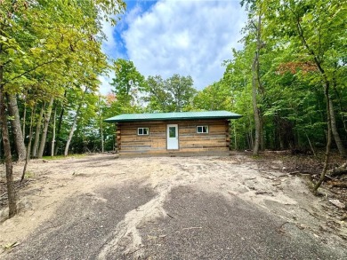 Lake Home For Sale in Holmesville Twp, Minnesota