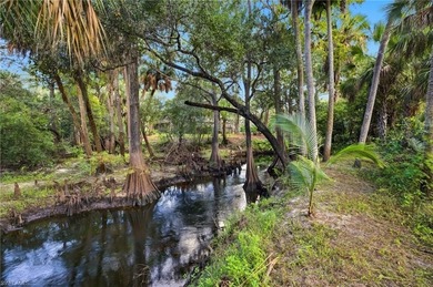 (private lake, pond, creek) Acreage For Sale in Bonita Springs Florida