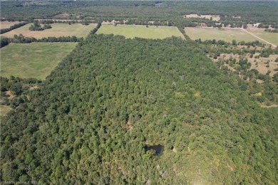 Wister Lake Acreage For Sale in Heavener Oklahoma