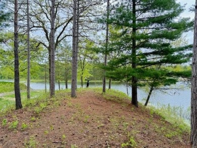 Lake Lot For Sale in Gladwin, Michigan
