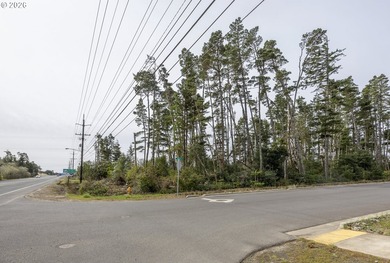 Just under 2 acres of prime commercial land awaits along the - photo 10