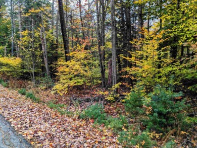 Sunrise Lake Lot For Sale in Middleton New Hampshire