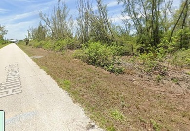 Discover the perfect homesite in South Gulf Cove, one of - photo 3