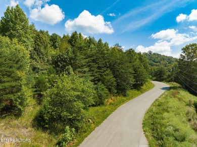 Lake Lot For Sale in New Tazewell, Tennessee