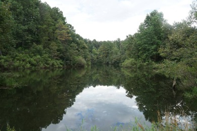 Lake Acreage For Sale in Lynn, Alabama