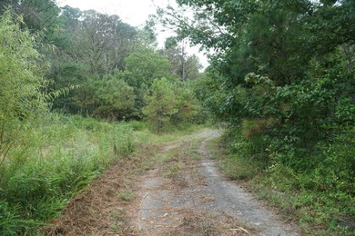 Additional listing photo 2