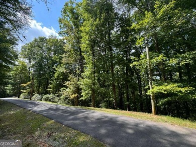 Lake Lot For Sale in Ellijay, Georgia