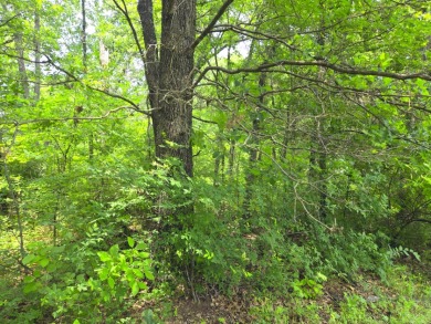 Lot 442 Waters Edge Dr - photo 27